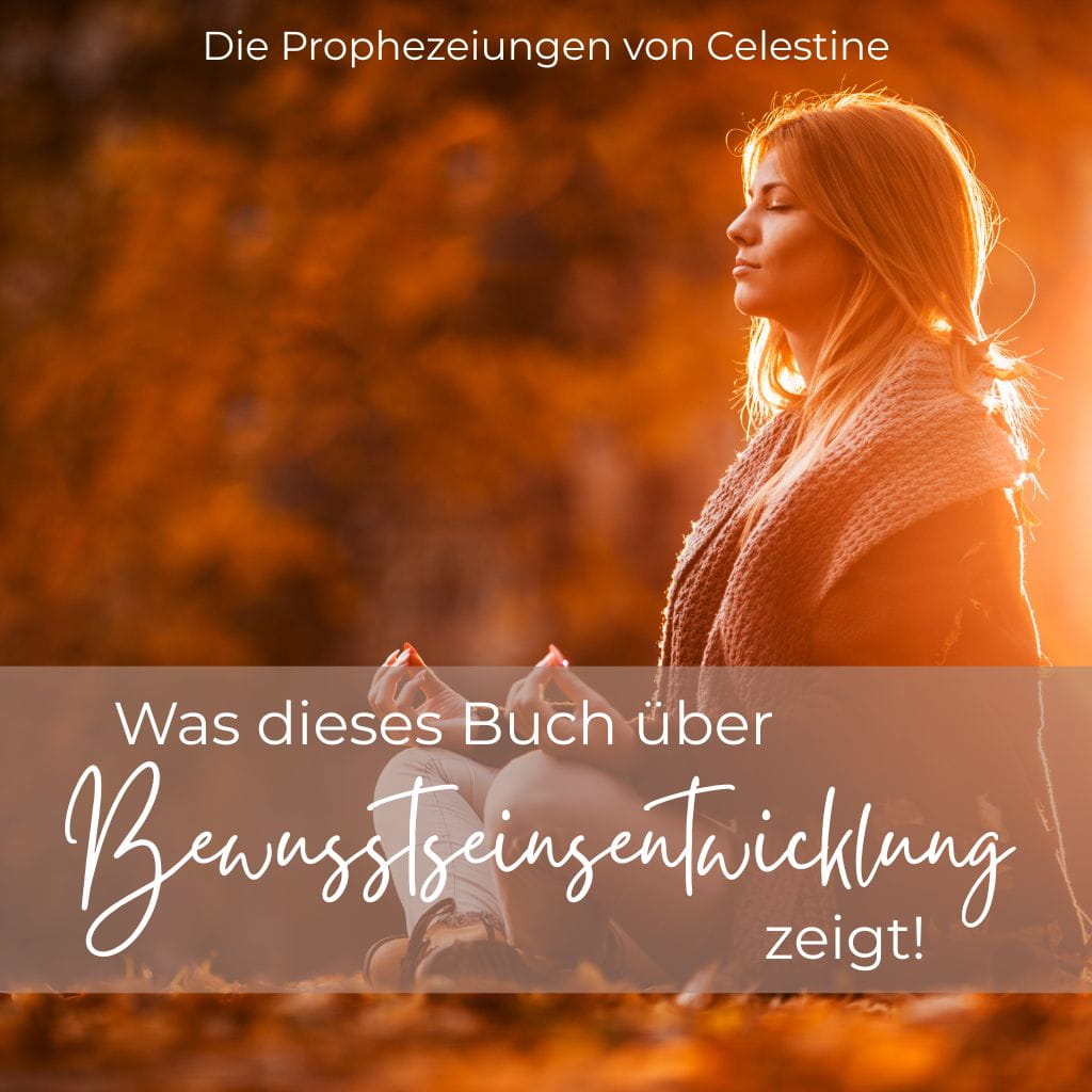 Bewusstseinsentwicklung